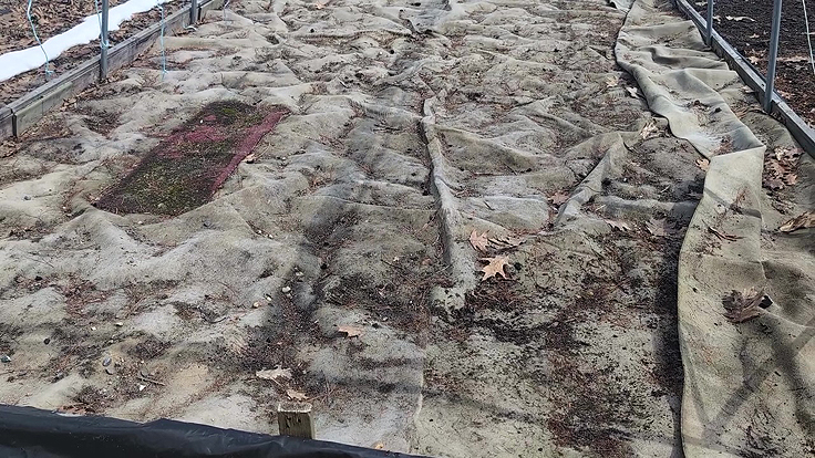 Une toile a été déposée par-dessus les plantes aquatiques au potager