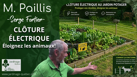 Comment installer une clôture électrique pour protéger son potager des animaux