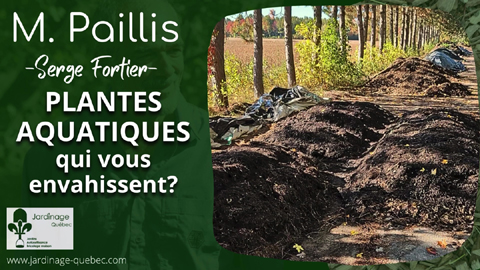 Plantes aquatiques envahissantes - Transformation en paillis pour le jardin